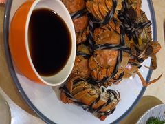 -杨氏青龙虾·羊蝎子(珠江路店)