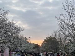 -团城山公园