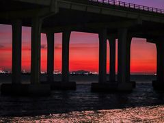 -宝安西湾红树林湿地公园