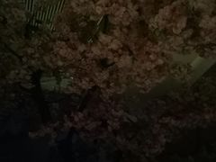 -卡拉卡拉漫温泉汗蒸