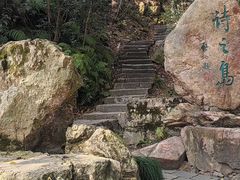 -江心屿景区