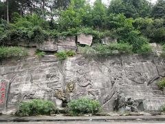 -铁山坪森林公园