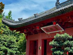 -上海东林寺(金山区)