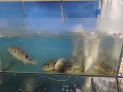 -瀏河老街土菜館(浏河店)