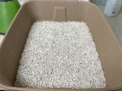 -爱派特动物医院·全科诊疗中心