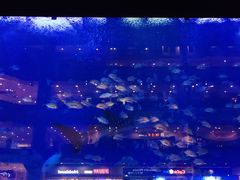 -成都浩海立方海洋公园