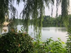 -上海怡沁园度假酒店