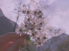 -宁波五龙潭景区