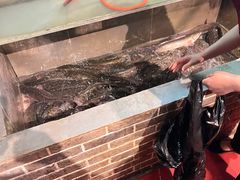 -百岁鱼(七一路店)