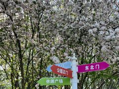 -望湖公园