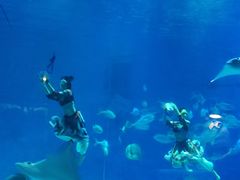 -烟台海昌鲸鲨海洋公园