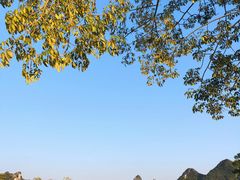 -南宁花花大世界景区