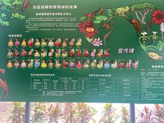-中国科学院西双版纳热带植物园