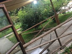 -水上人家河鲜