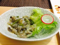 -樱の千渡日式料理·铁板烧•烧鸟(金盛田广场店)