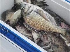 -秦皇岛新澳海底世界