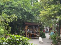 -青城甲(青城山店)