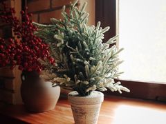 -CafeDuVillage乡村咖啡馆(美邻苑店)