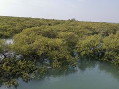 -北海金海湾红树林生态旅游区
