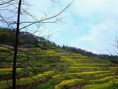 -灵山景区梯田