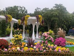 -上海共青森林公园