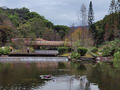 -云溪植物园