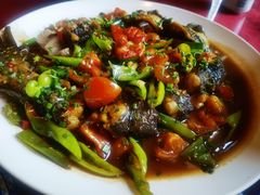 -生态苑农庄(十里画廊遇龙河店)