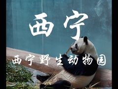 -青藏高原野生动物园