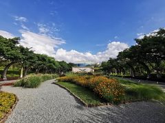 -映月湖公园
