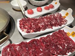 -潮发潮汕牛肉店(东方宝泰店)