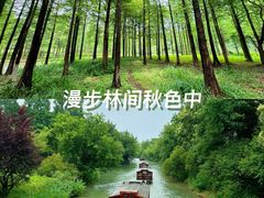 -西溪国家湿地公园