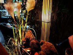 -咖法森林·咖啡  酒吧(天河店)