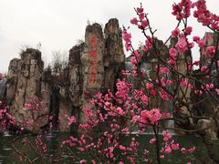 -秀丽东方
