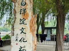 -白洋淀景区
