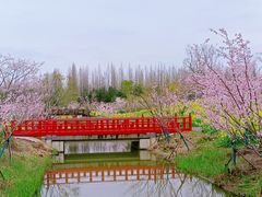 -东平国家森林公园
