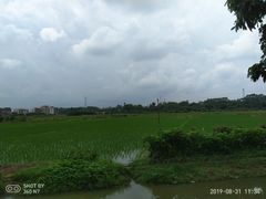 -石滩镇塘头村老年人活动中心