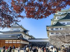 -名古屋城