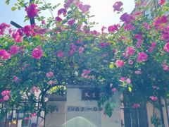 -天津五大道文化旅游区