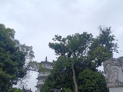 -国恩寺