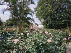 -人民公园(罗湖区)