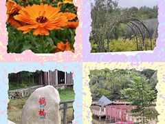 -神光山国家森林公园