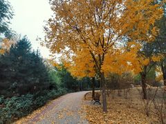 -坝河休闲公园