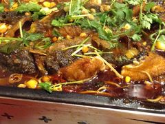 -成都美食巫山烤鱼(三里河路店)