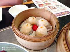 虾饺-蚝喜粤·广州味·茶楼点心(长隆店)