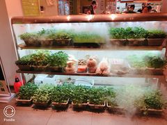 -鲜货俚鲜火锅(青果路店)
