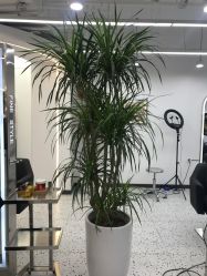 -FINE HAIR造型沙龙