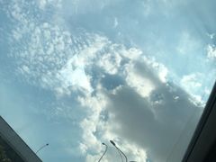 -尊宝比萨(万科金色城市店)