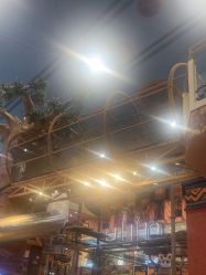 -卡通尼·Safari非洲探索乐园·生日会(金桥国际商业广场店)