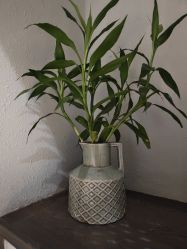 -香秀空间科技抗衰·美容中心