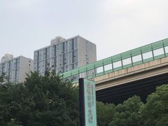 -绿地新都会